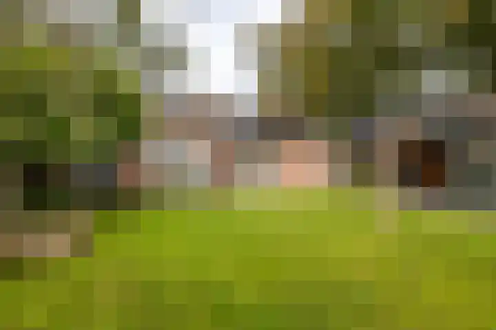 Kastelenakkers 22 Zuidlaren thumbnail 50