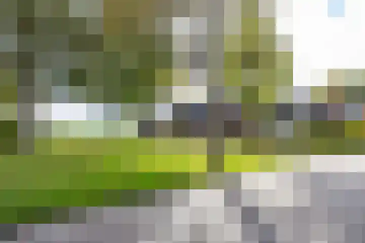 Kastelenakkers 22 Zuidlaren thumbnail 6