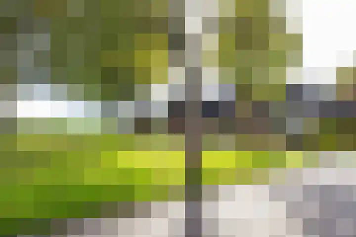 Kastelenakkers 22 Zuidlaren thumbnail 7
