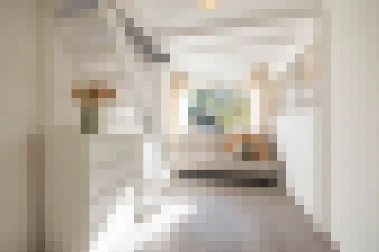 Kastelenlaan 117 Roden thumbnail 33