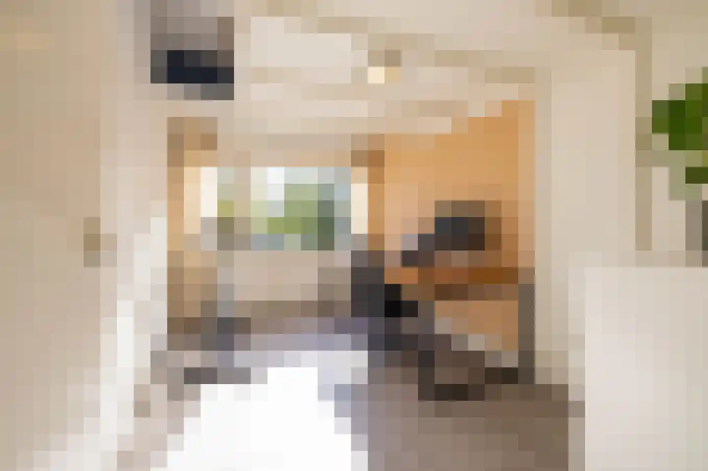 Kastelenlaan 117 Roden thumbnail 36