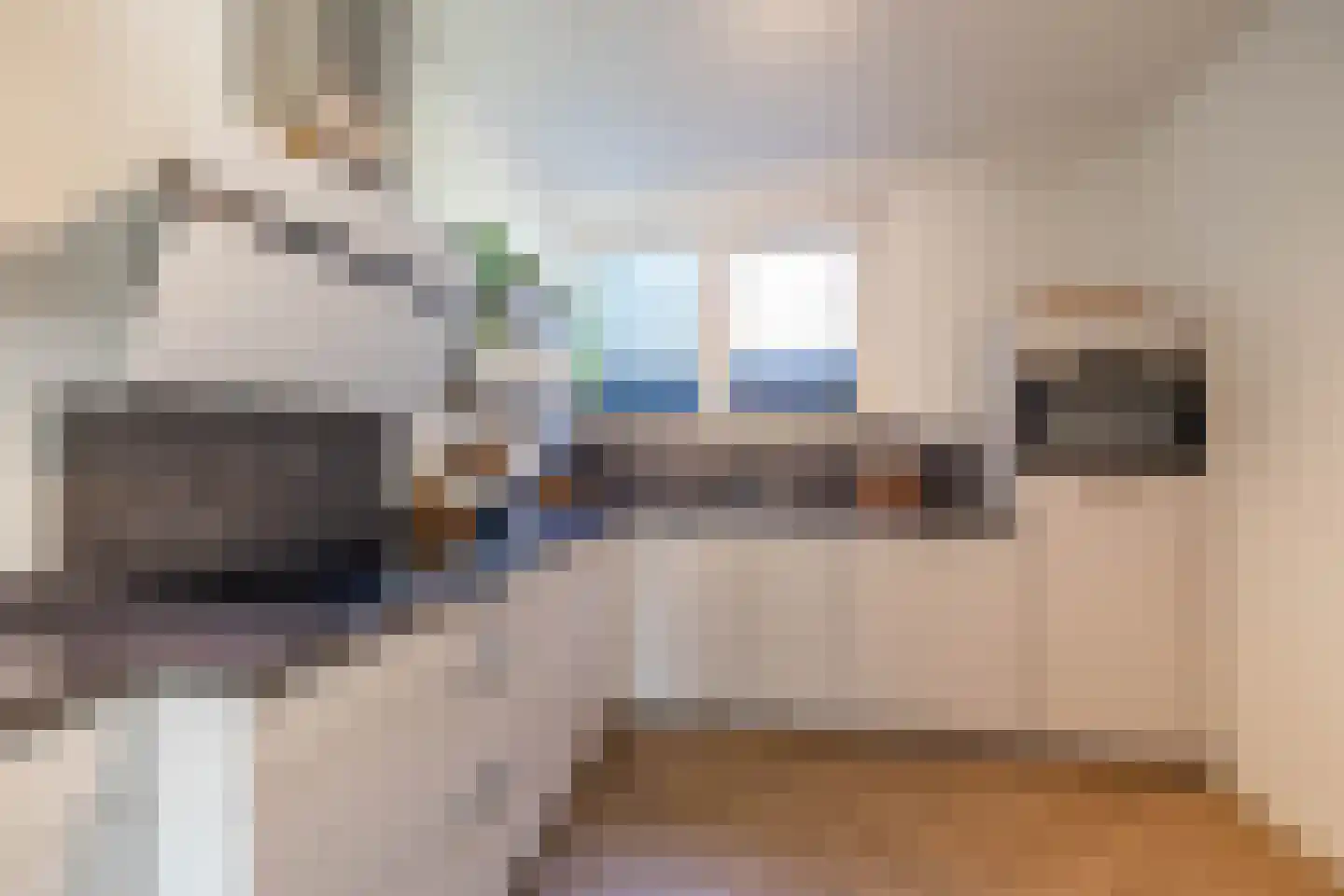 Kastelenlaan 117 Roden thumbnail 4