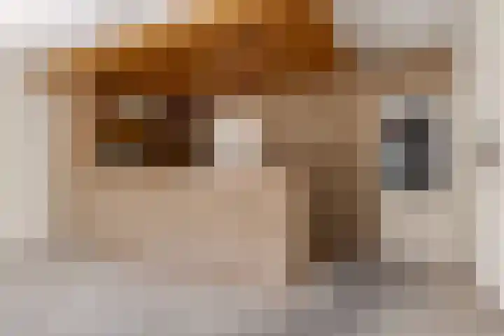 Kastelenlaan 121 Roden thumbnail 16