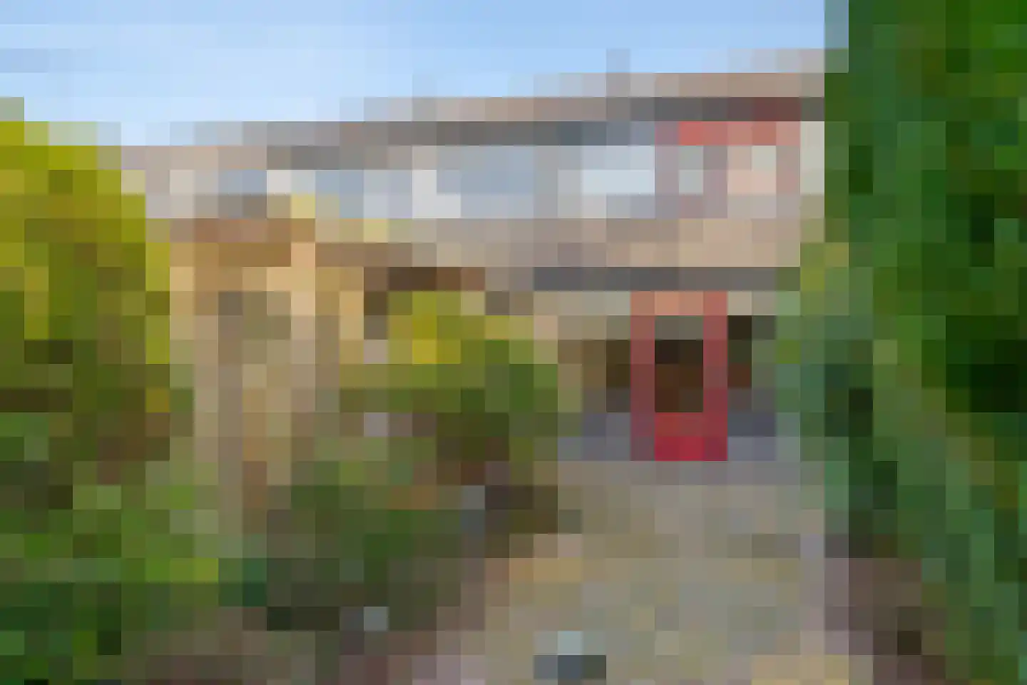 Kastelenlaan 121 Roden thumbnail 25