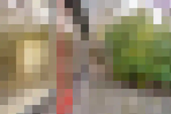 Kastelenlaan 121 Roden thumbnail 26