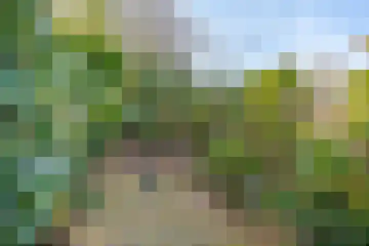 Kastelenlaan 121 Roden thumbnail 27