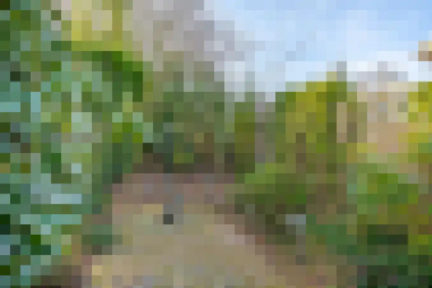 Kastelenlaan 121 Roden thumbnail 28
