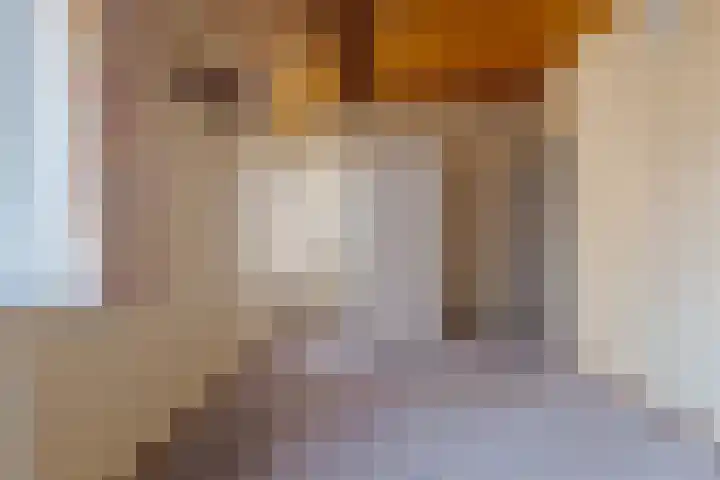 Kastelenlaan 121 Roden thumbnail 39