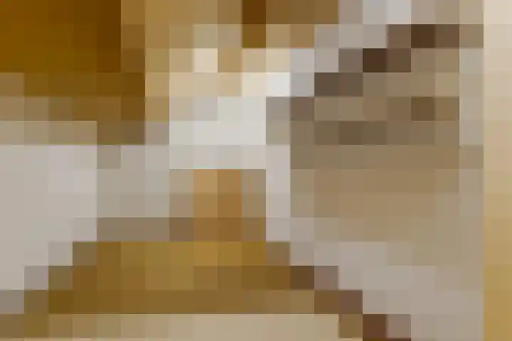 Kastelenlaan 121 Roden thumbnail 49