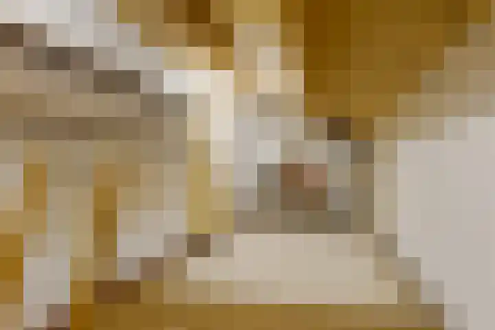 Kastelenlaan 121 Roden thumbnail 50