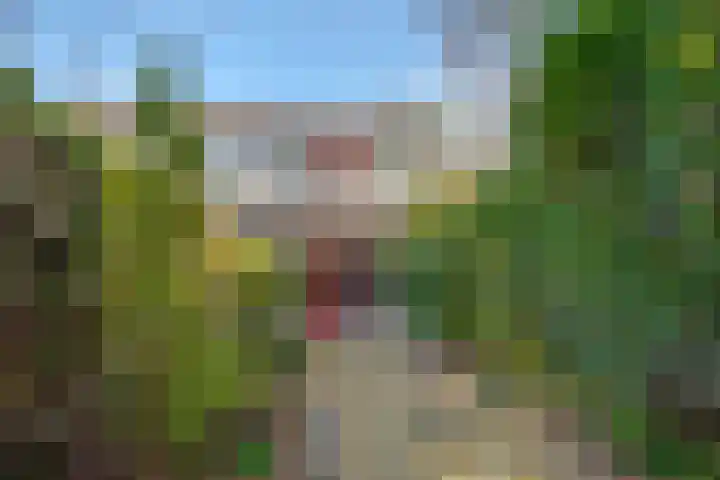 Kastelenlaan 121 Roden thumbnail 51