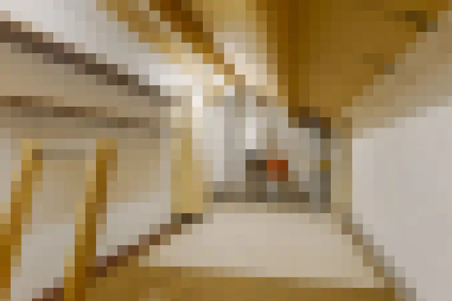 Kastelenlaan 121 Roden thumbnail 51