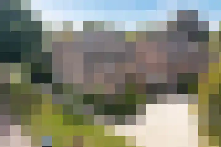 Kastelenlaan 175 Roden thumbnail 35