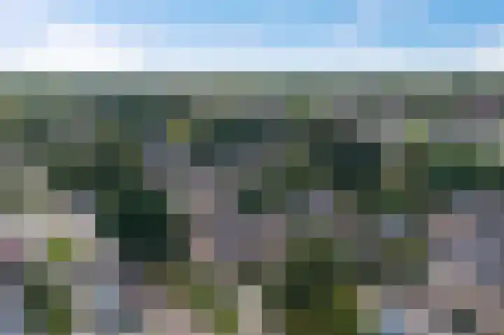 Kastelenlaan 175 Roden thumbnail 36