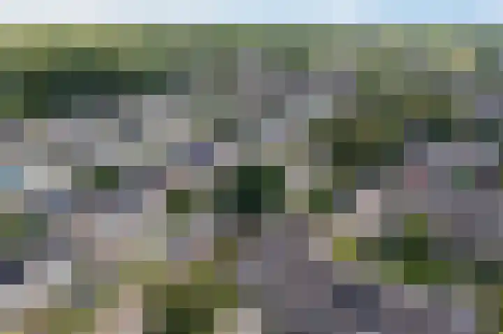 Kastelenlaan 175 Roden thumbnail 37