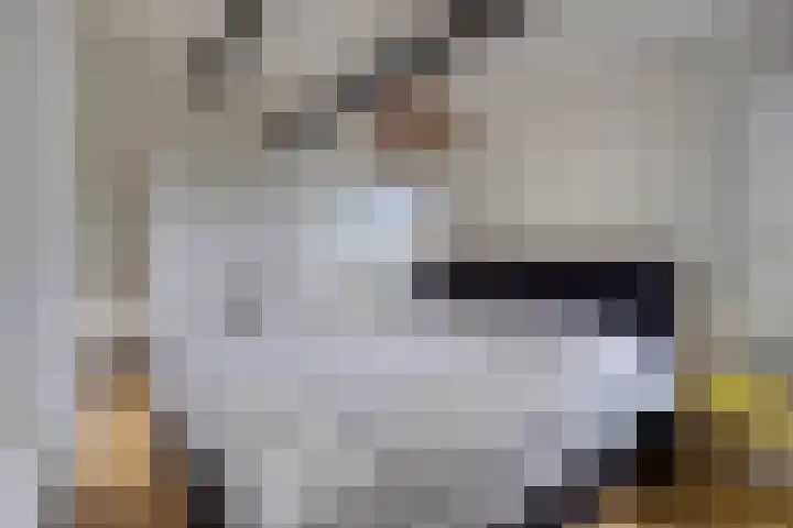 Kastelenlaan 179 Roden thumbnail 19