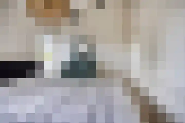 Kastelenlaan 179 Roden thumbnail 20