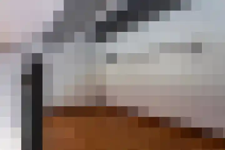 Kastelenlaan 179 Roden thumbnail 29