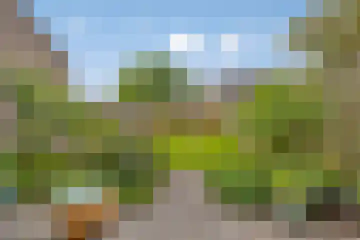 Kastelenlaan 179 Roden thumbnail 30