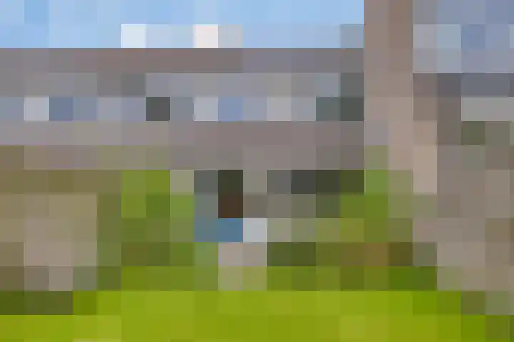 Kastelenlaan 179 Roden thumbnail 31