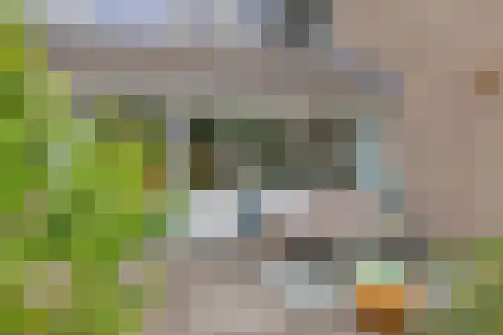 Kastelenlaan 179 Roden thumbnail 32