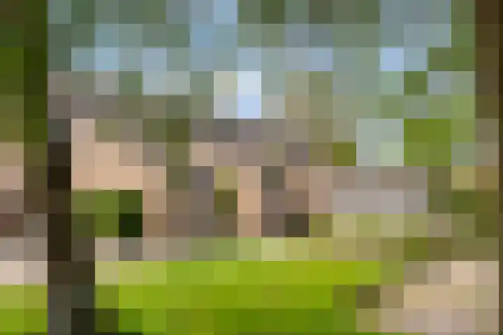 Kastelenlaan 179 Roden thumbnail 35