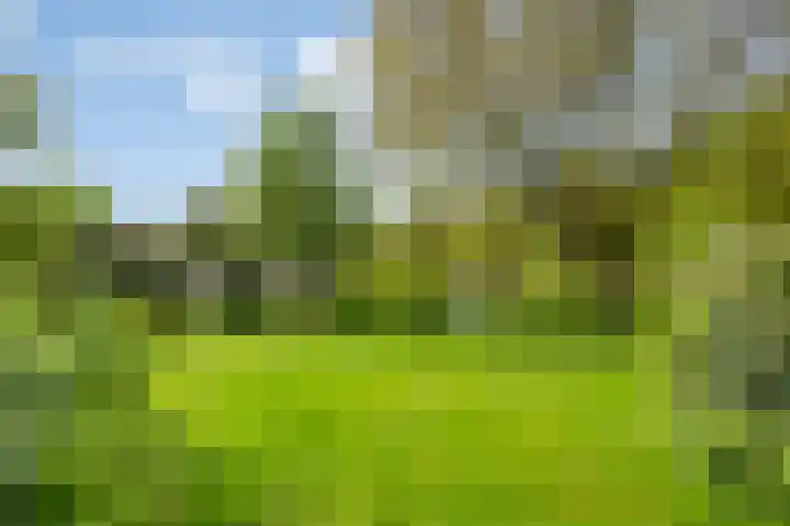 Kastelenlaan 179 Roden thumbnail 38