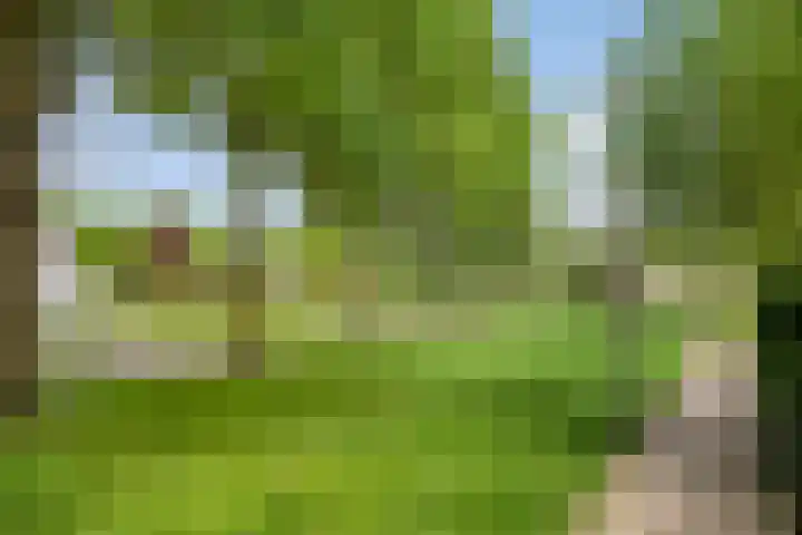Kastelenlaan 179 Roden thumbnail 39