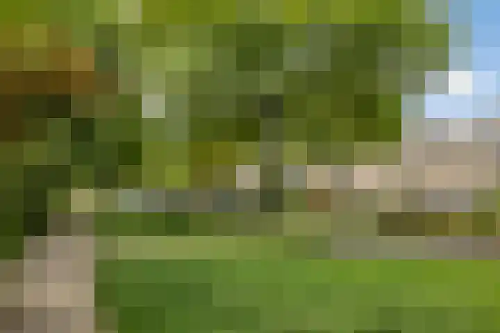 Kastelenlaan 179 Roden thumbnail 40