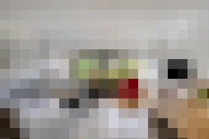 Kastelenlaan 179 Roden thumbnail 9