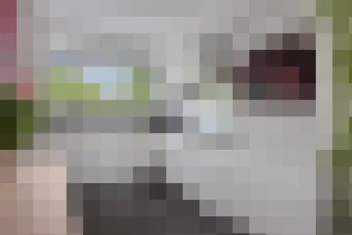 Kastelenpad 14 Maastricht thumbnail 9