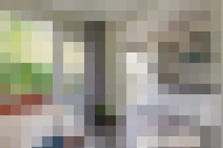 Kastelenplantsoen 9 Utrecht thumbnail 13