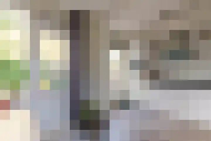 Kastelenplantsoen 9 Utrecht thumbnail 14