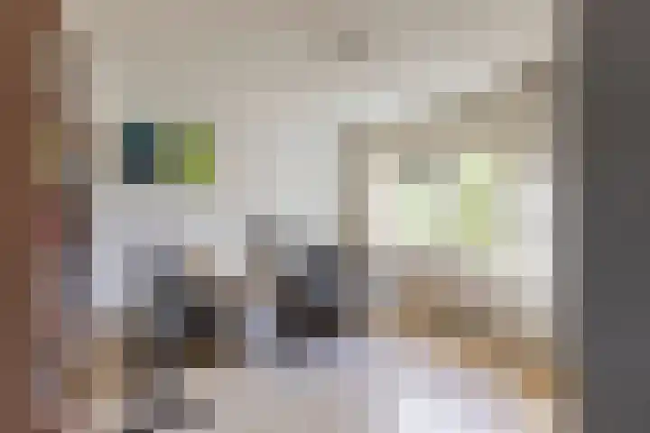 Kastelenplantsoen 9 Utrecht thumbnail 21
