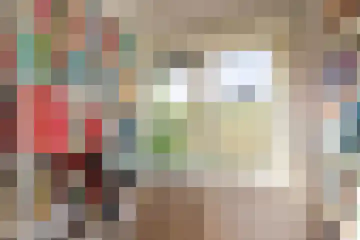 Kastelenplantsoen 9 Utrecht thumbnail 25