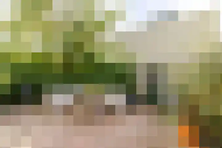 Kastelenplantsoen 9 Utrecht thumbnail 30