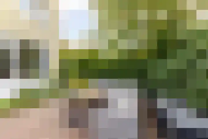 Kastelenplantsoen 9 Utrecht thumbnail 32