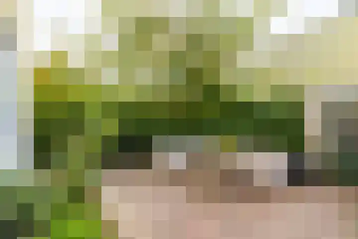 Kastelenplantsoen 9 Utrecht thumbnail 33