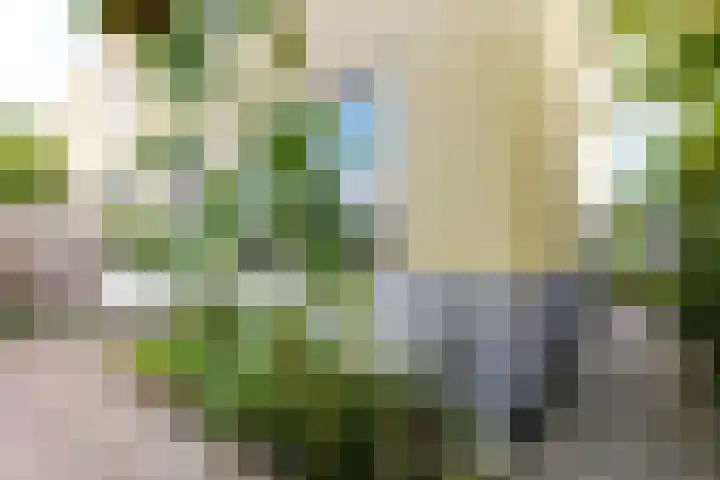 Kastelenplantsoen 9 Utrecht thumbnail 34