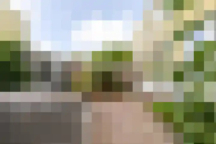 Kastelenplantsoen 9 Utrecht thumbnail 35