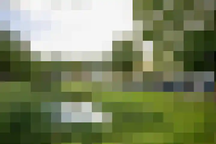 Kastelenplantsoen 9 Utrecht thumbnail 38