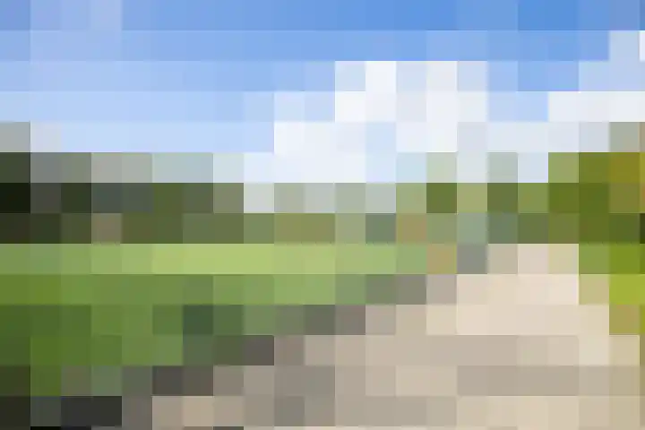 Kastelenplantsoen 9 Utrecht thumbnail 41