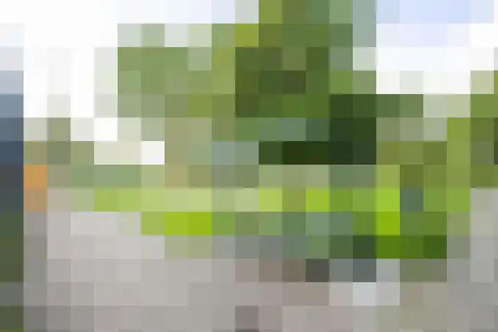 Kastelenplantsoen 9 Utrecht thumbnail 42