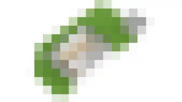 Kastelenplantsoen 9 Utrecht thumbnail 55