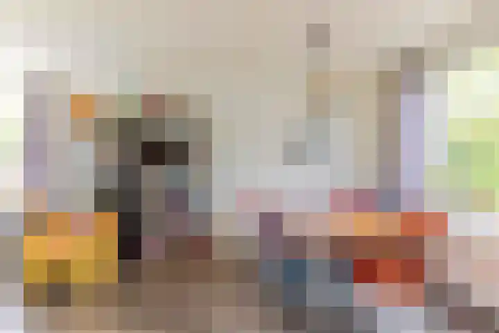 Kastelenplantsoen 9 Utrecht thumbnail 6