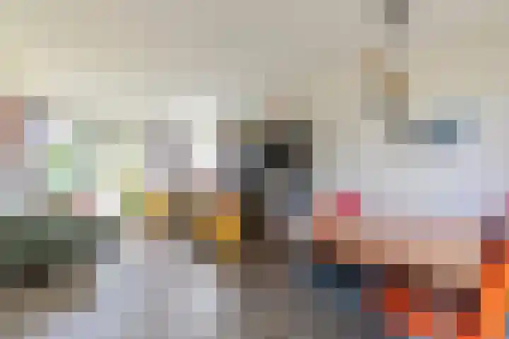 Kastelenplantsoen 9 Utrecht thumbnail 8