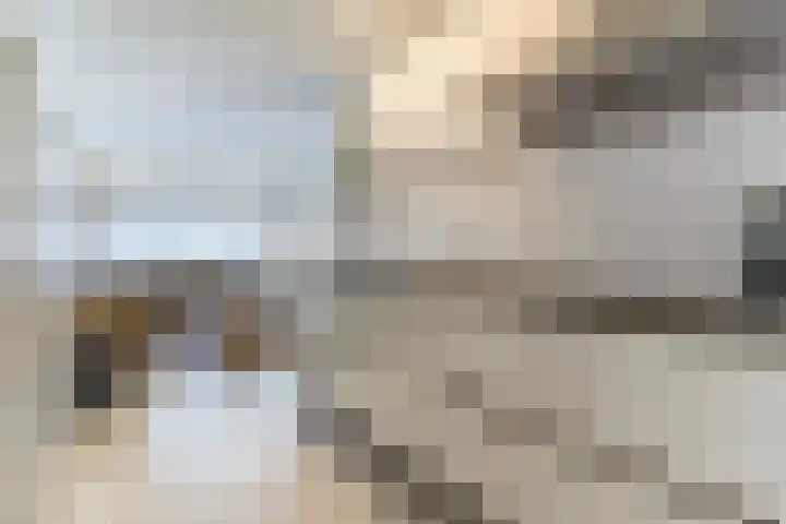 Kastelenplein 100 Eindhoven thumbnail 10