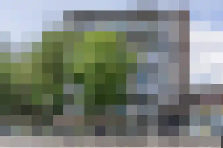 Kastelenplein 100 Eindhoven thumbnail 24