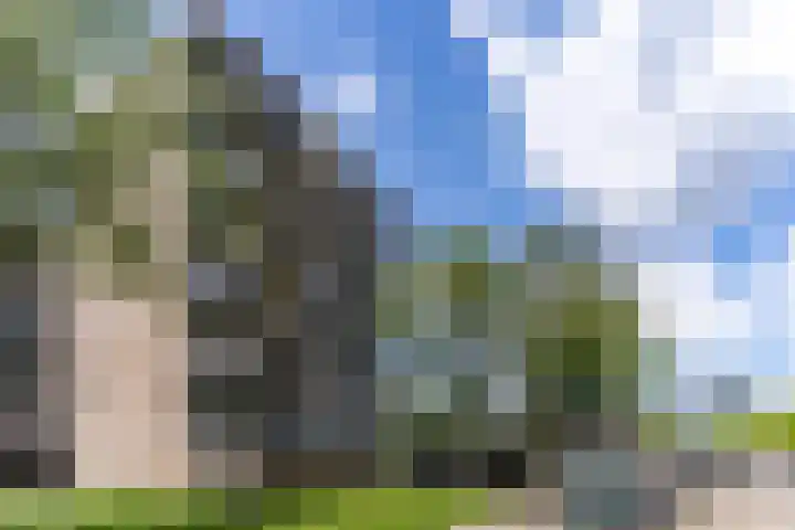 Kastelenplein 100 Eindhoven thumbnail 25