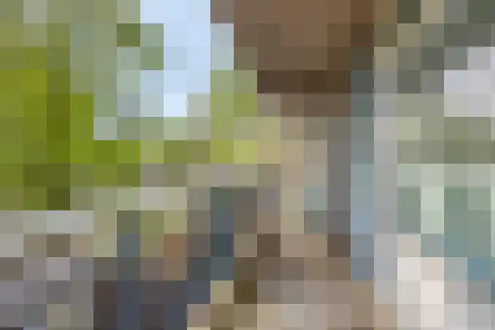 Kastelenplein 103 Eindhoven thumbnail 16